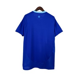 Camiseta Argentina Visitante 2024 2