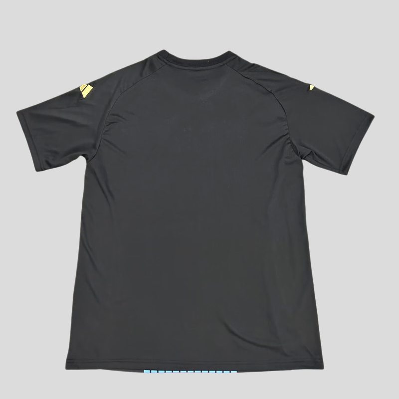 Camiseta Argentina Prepartido 24/25
