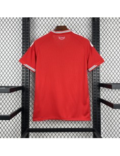 Camiseta Gales Local 2026 WC | Equipación Gales 2026 Premium 2
