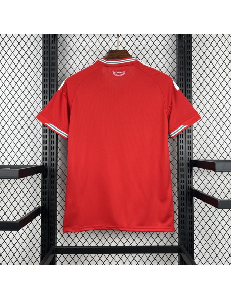 Camiseta Gales Local 2026 WC | Equipación Gales 2026 Premium