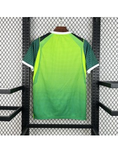 Camiseta Nigeria Visitante 2026 | Equipación Mundial WC 2