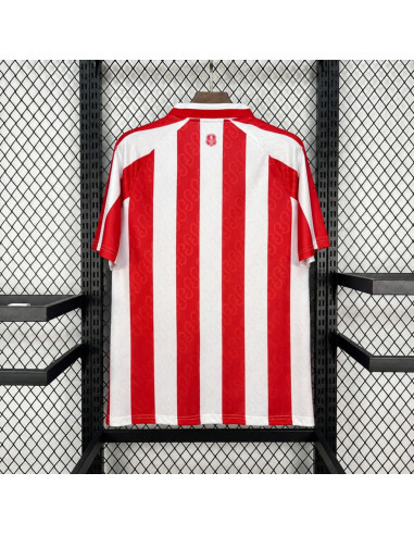 Sunderland AFC 26/27 home kit replica back design