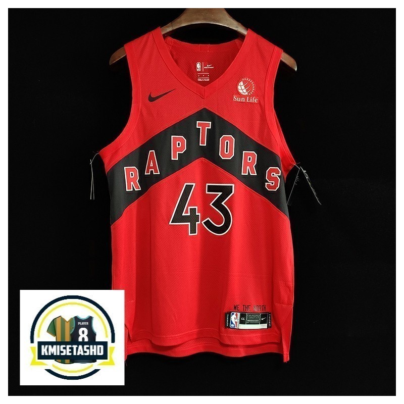 Toronto Raptors Icon Serigrafiada (Personalizable)