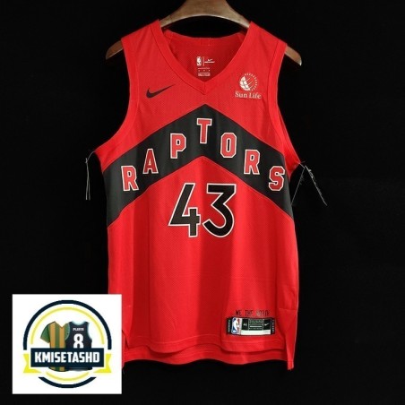 Toronto Raptors Icon Serigrafiada (Personalizable)