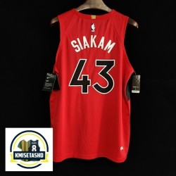 Toronto Raptors Icon Serigrafiada (Personalizable) 2