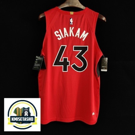 Toronto Raptors Icon Serigrafiada (Personalizable)