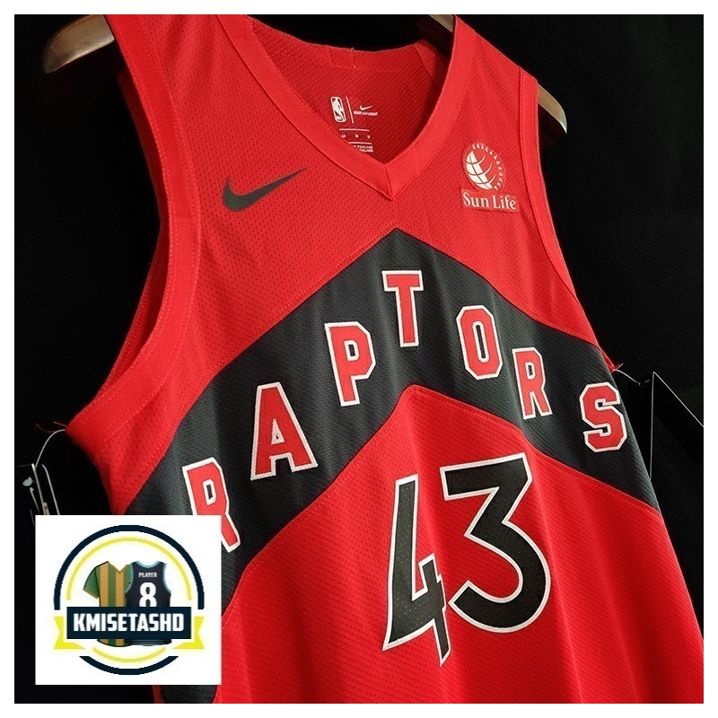 Toronto Raptors Icon Serigrafiada (Personalizable)