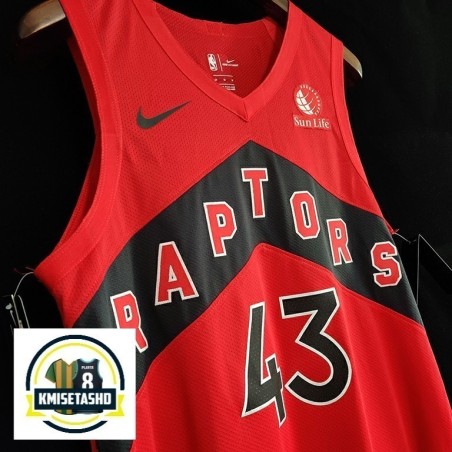 Toronto Raptors Icon Serigrafiada (Personalizable)