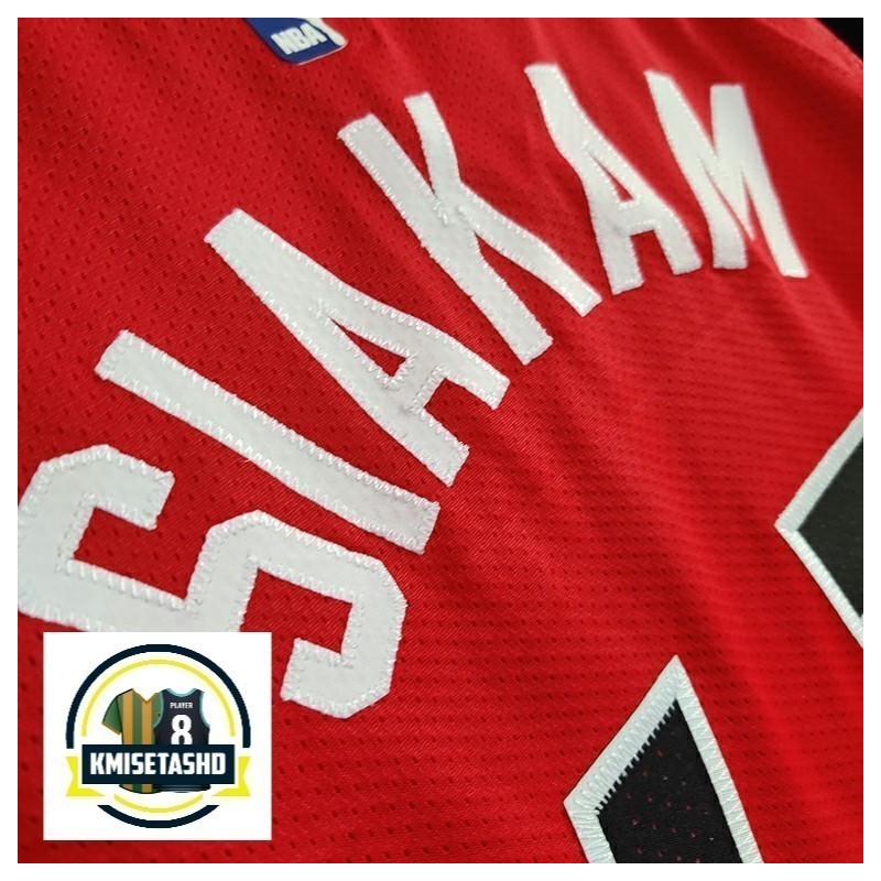 Toronto Raptors Icon Serigrafiada (Personalizable)