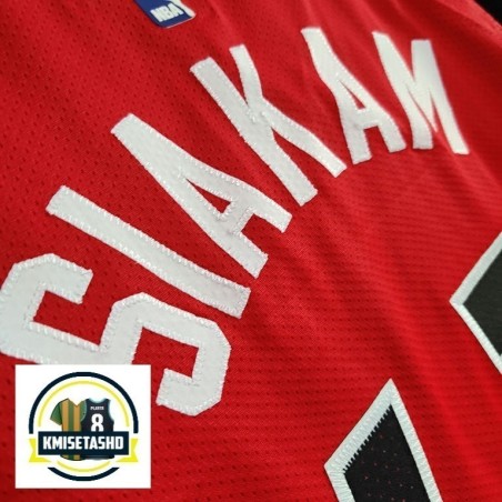 Toronto Raptors Icon Serigrafiada (Personalizable)