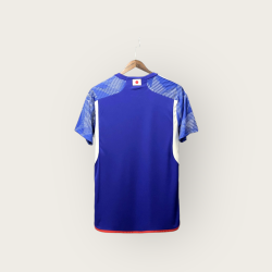 Japón Local WC 2022 2