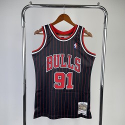 Chicago Bulls Retro 95/96 Rodman (Serigrafiada)